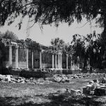 Exploring the Lost Cities of Ancient Civilizations