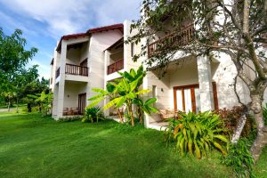 Gardening for Apartment Dwellers