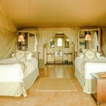 Glamping in the Wild: Comfort Meets Adventure