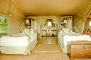Glamping in the Wild: Comfort Meets Adventure