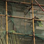 Enabling Remote Workforces with Robust Security Protocols