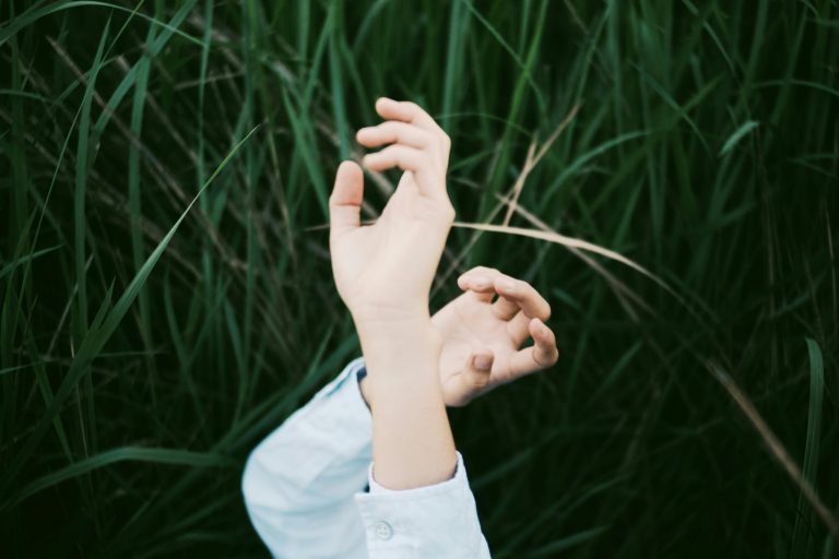 Teacher-Led Field Trips: Bringing Lessons to Life