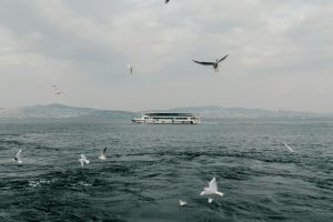 Small Ship Cruises Visiting Rarely Explored Ports