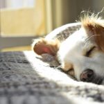 Healthy Habits for Better Sleep