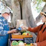 Shopping Cart Abandonment: Retailers’ Strategies to Bring You Back