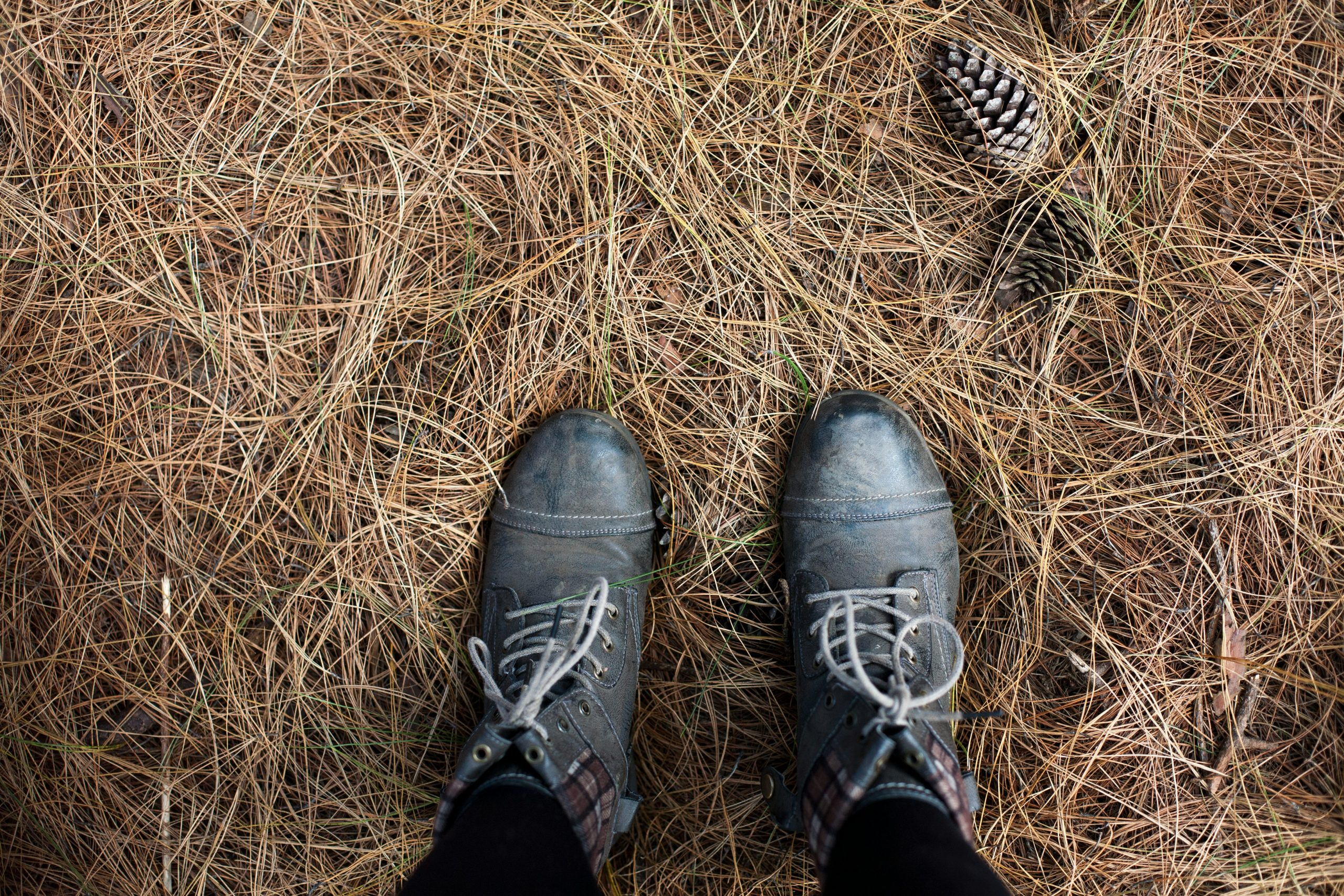 Shoes tracking steps and workout data
