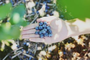 Community Gardens: Growing Food and Friendships