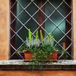 Gardening With Succulents: Easy Care Tips