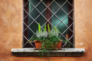 Gardening With Succulents: Easy Care Tips
