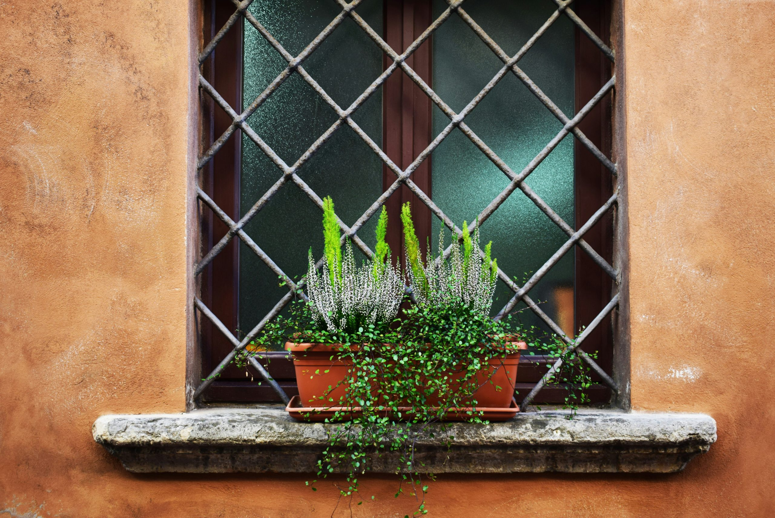 Gardening With Succulents: Easy Care Tips
