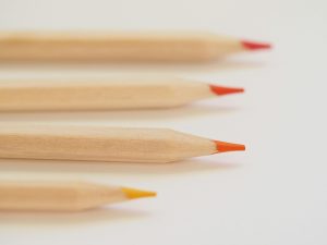 Inclusive Sizing and the Push for Diversity